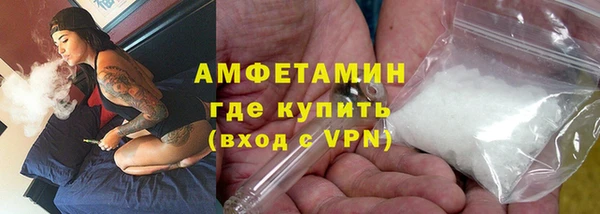 гидра Абаза