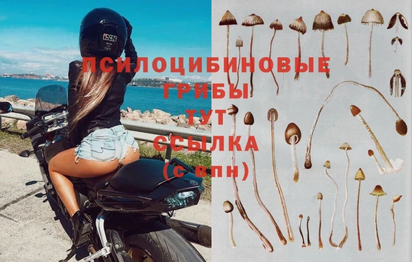 гидра Абаза