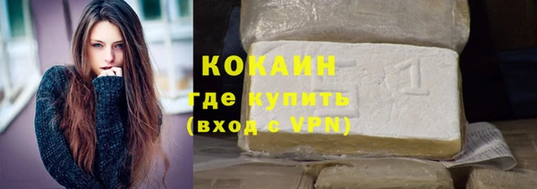 дживик Пересвет