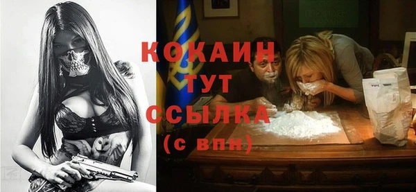гидра Абаза