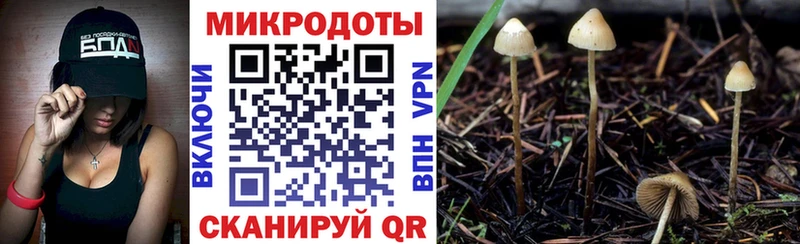 Галлюциногенные грибы Psilocybine cubensis  цена   Чухлома 
